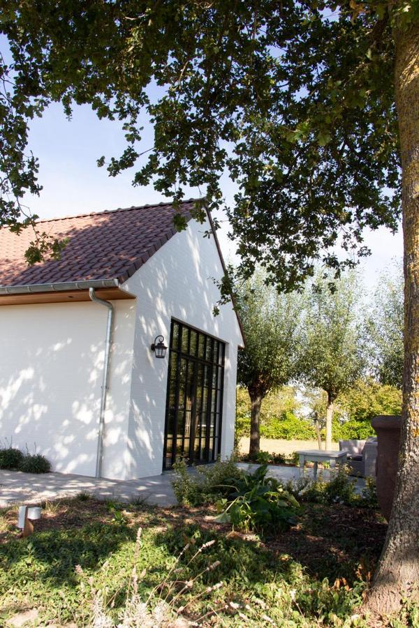 Madelette B&B Moorslede Екстер'єр фото